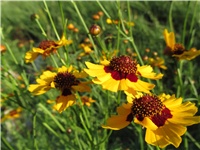 88a5b3f7-Picture 866.jpg